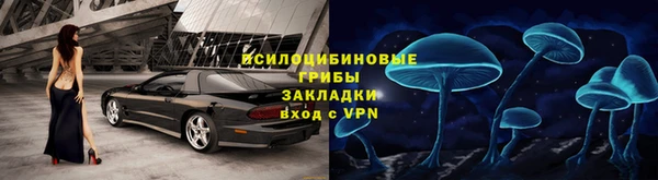 PSILOCYBIN Богданович