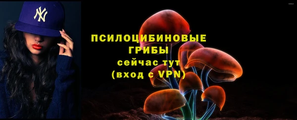 синтетический гашиш Богородицк