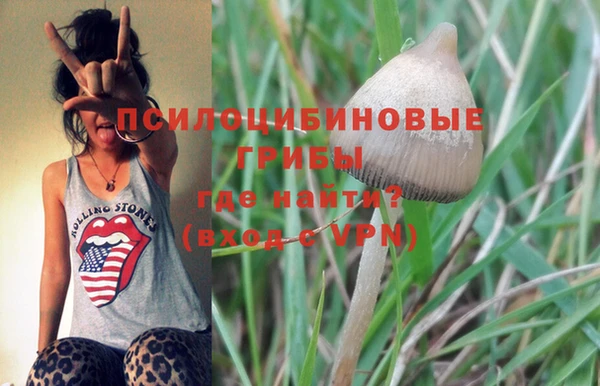 PSILOCYBIN Богданович