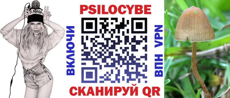 Галлюциногенные грибы мицелий  OMG ТОР  дарк нет клад  Новокузнецк 